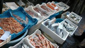 14352354_1089674554434528_6559358821858148258_o